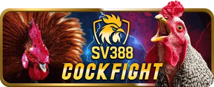 Người chơi vui vẻ tham gia cá cược trực tuyến trên yesbet88